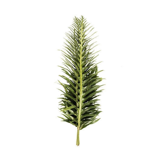 Spike Leaf