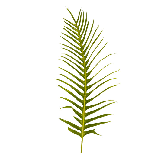 Spike Leaf
