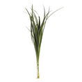 Cargar la imagen en la vista de la galería, Lily Grass