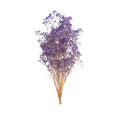 Cargar la imagen en la vista de la galería, Gypsophila Preservada