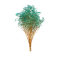 Cargar la imagen en la vista de la galería, Gypsophila Preservada