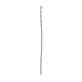 Cargar la imagen en la vista de la galería, Euonymus Stick