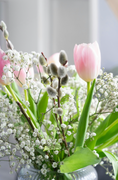 Cargar la imagen en la vista de la galería, Gypsophila