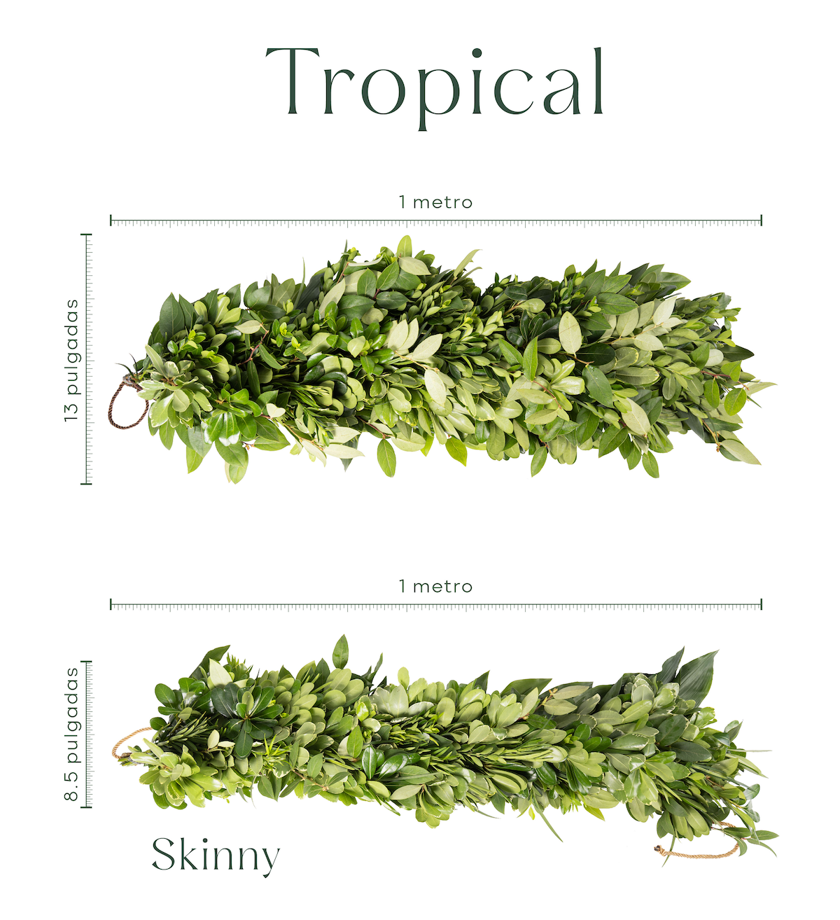 Guirnalda Tropical