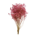 Cargar la imagen en la vista de la galería, Gypsophila Preservada
