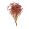 Cargar la imagen en la vista de la galería, Gypsophila Preservada