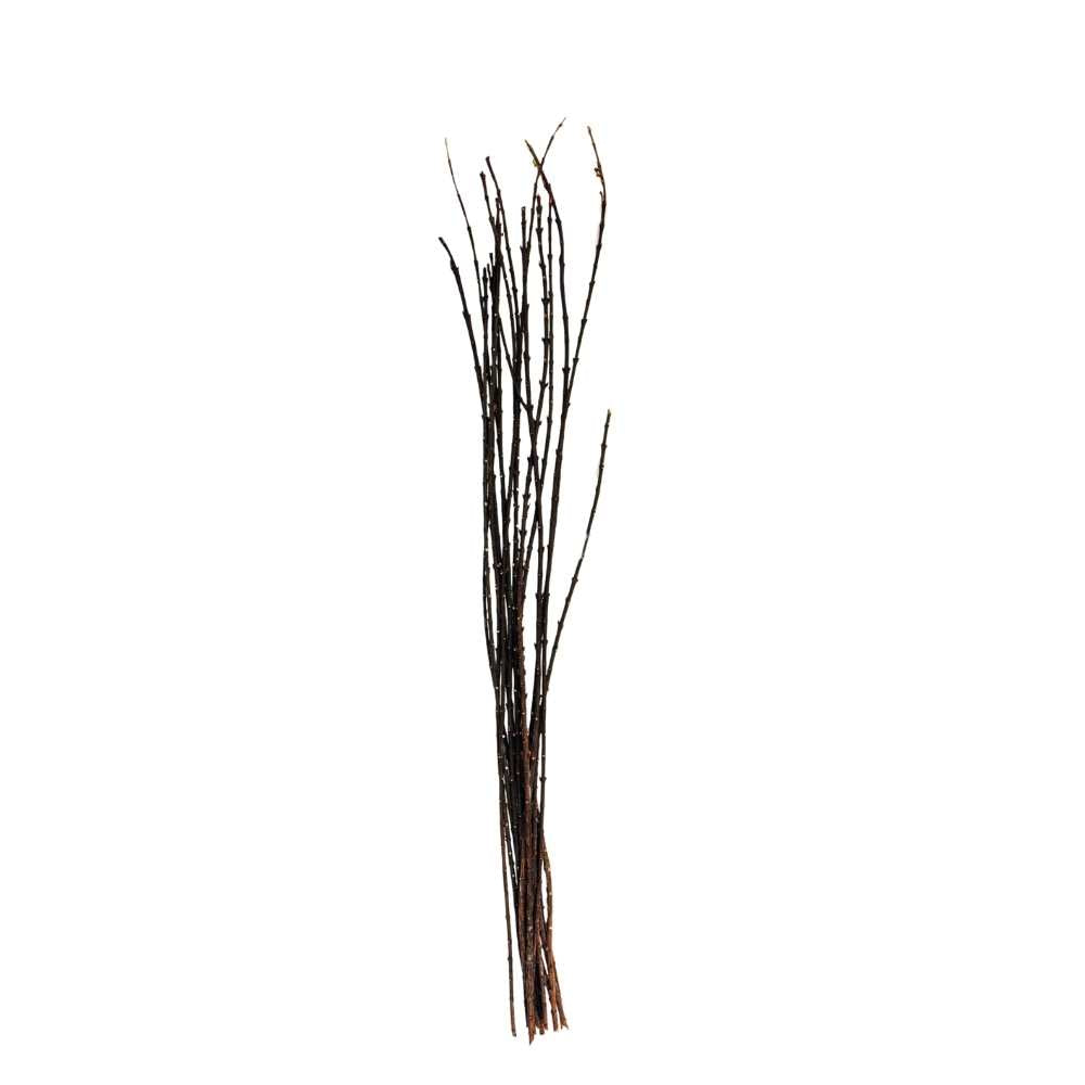Euonymus Stick