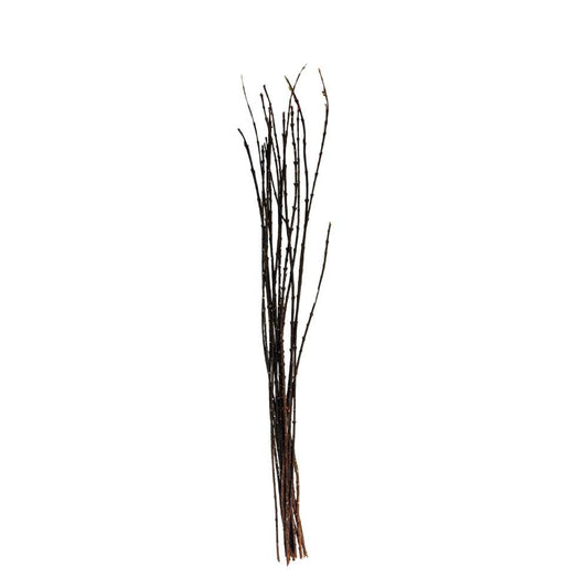 Euonymus Stick