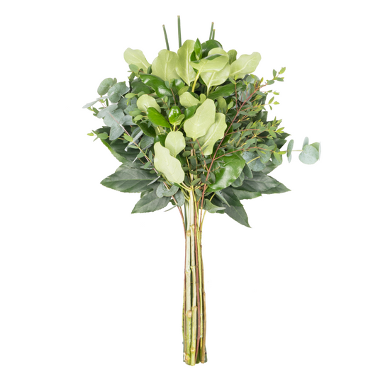 Green Bouquet